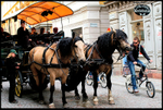 2012 Gamla Stan 1