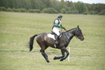 BVHT 140517  NXC -464