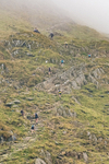 Peris Horseshoe-68
