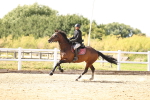 SBM_001470