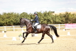 SBM_009482