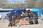 BPP_2910