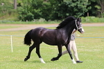 SIAL5842