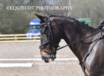 BPP_9379