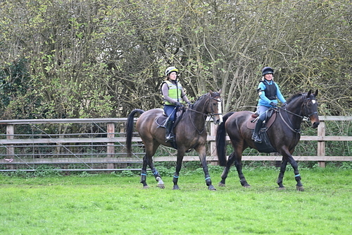 WJ7_0177