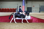 SBM_23583