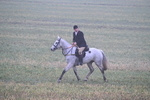 WJ7_3329