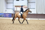 SBM_006833