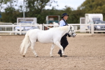 SBM_14191