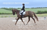 BPP_0711