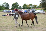 WJ6_6171