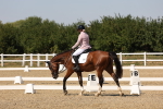 SBM_005732