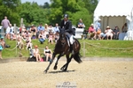 363-RLE_KHALEESI_C-Christopher_Wincer-SUNTrotUp+SJ portfolio