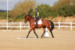 SBM_009421