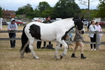 WJ6_8364