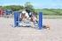 BPP_7028