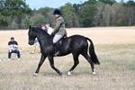 WJ7_5862
