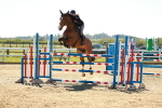 SBM_001807