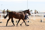 SBM_17682