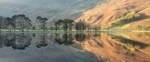 Buttermere Pines:180E