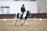 SBM_017255