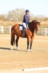 SBM_003461