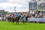 230824-Race 1-Shadow Dance-8713
