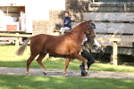 SBM_26142
