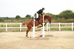 SBM_004787