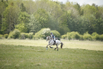 BVHT 140517  NXC -353