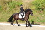 3E7A4199