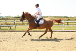 SBM_000685