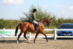 SBM_02190