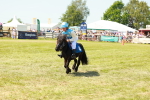 SBM_16742