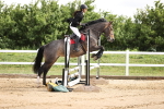 SBM_001816
