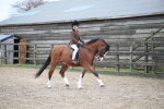 SBM_005897