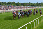 230526-Race 7-Golden Strike-0678