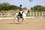 SBM_008729