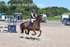 BPP_3345