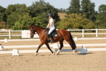 SBM_006959