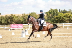 SBM_008831
