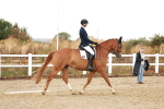 SBM_001648