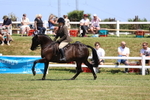 3E7A8064