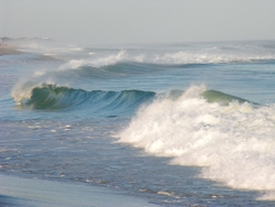 Sky, Water, Land portfolio