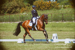 Houghton 240519 505atoy