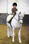 Class 23-26 - Novice-Open M&M LR-FR portfolio