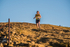 Grisedale-460