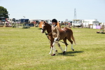 SBM_15687