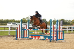 SBM_001687