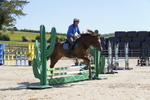 _DSC0892